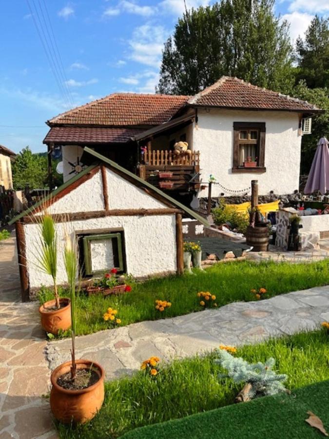 Vila Milica & Spa Aleksandra ดิมิโตรฟกราด ภายนอก รูปภาพ